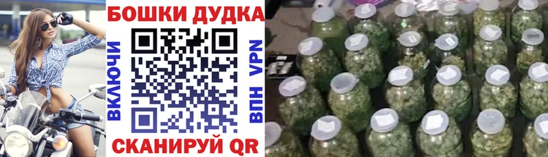 Конопля план Чадан